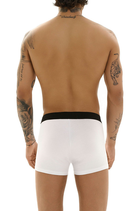 Трусы SVYATOY из вискозы, белый - Фото 5